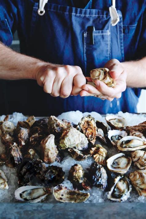 Unlocking the Mysteries of Oyster Cultivation at Jensen Baech's Bar